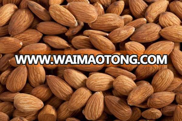 Almond Nuts / California Almonds / Nonpareil Almonds for sale